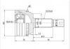 球籠 CV Joint:TO-310A